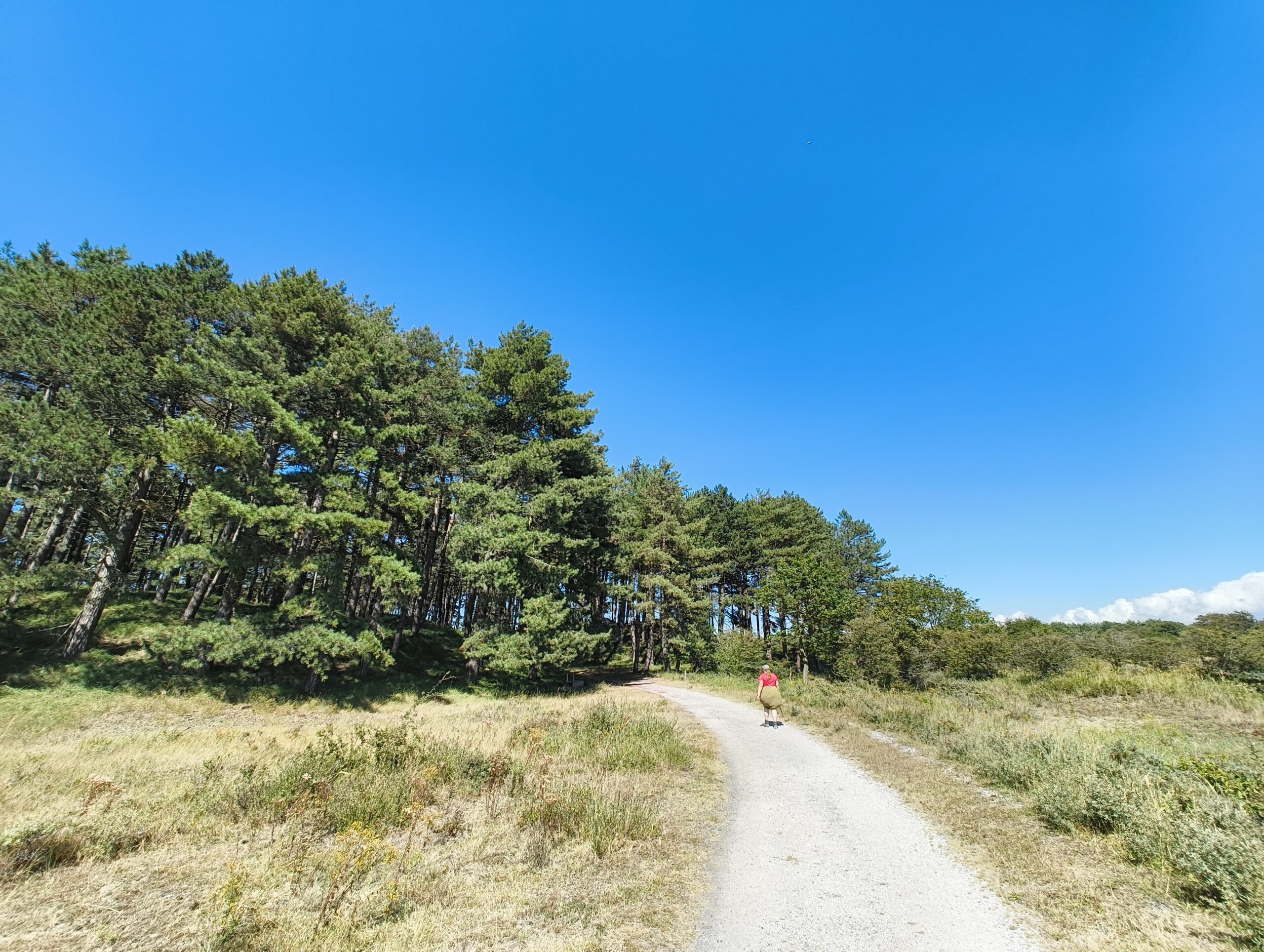 Kennemerduinen