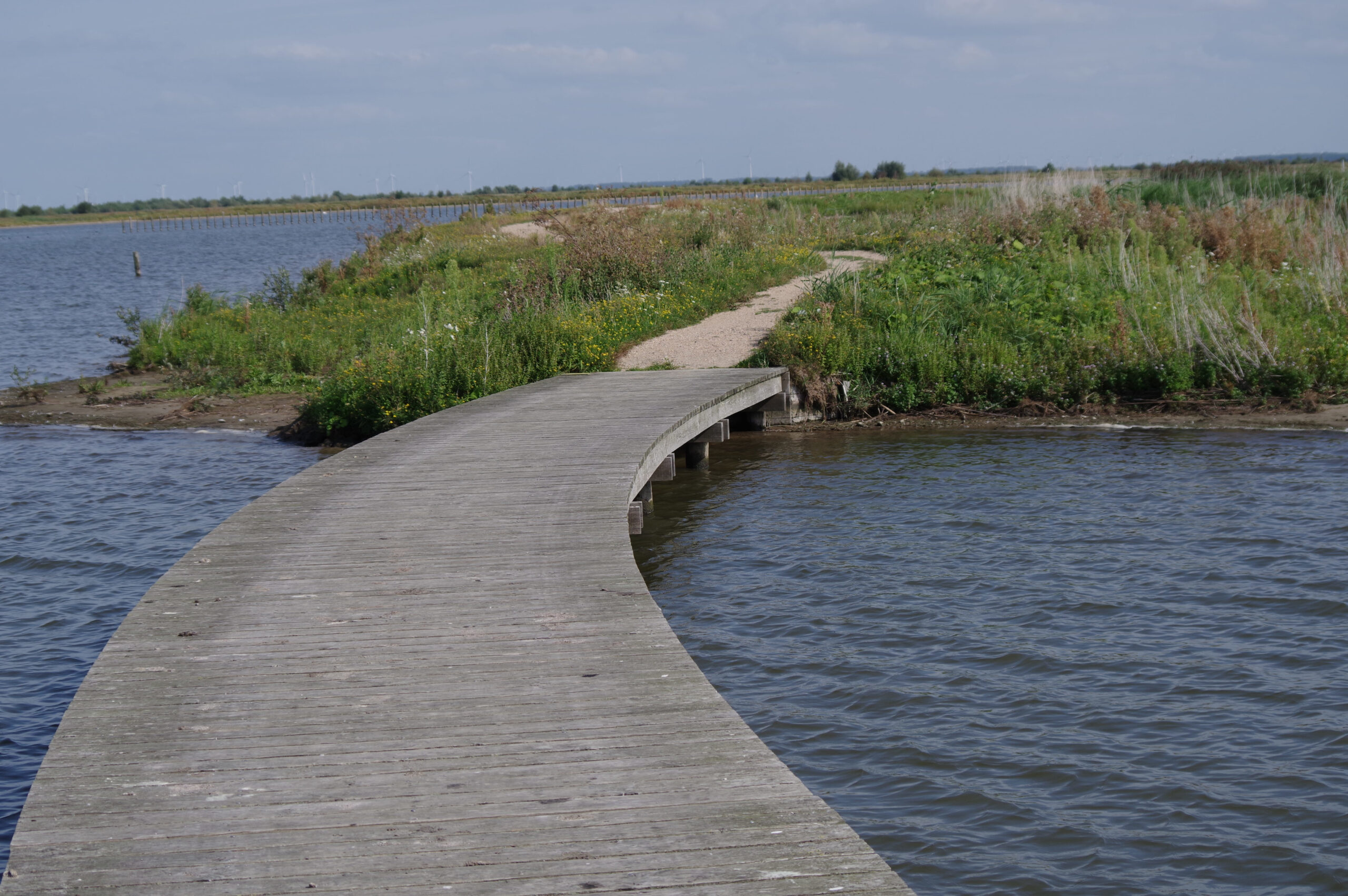 Rondleiding Markerwadden