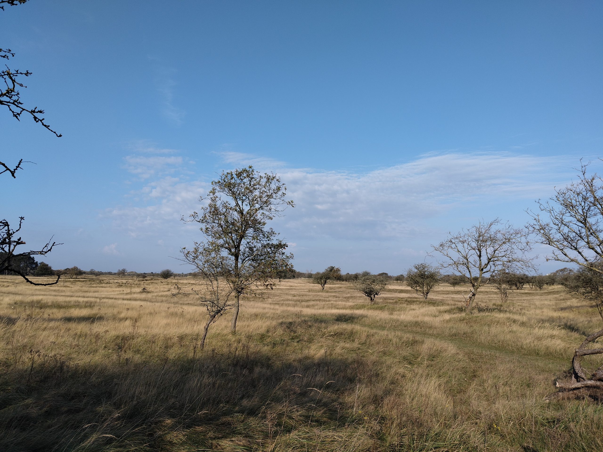 De Amsterdamse Waterleidingduinen