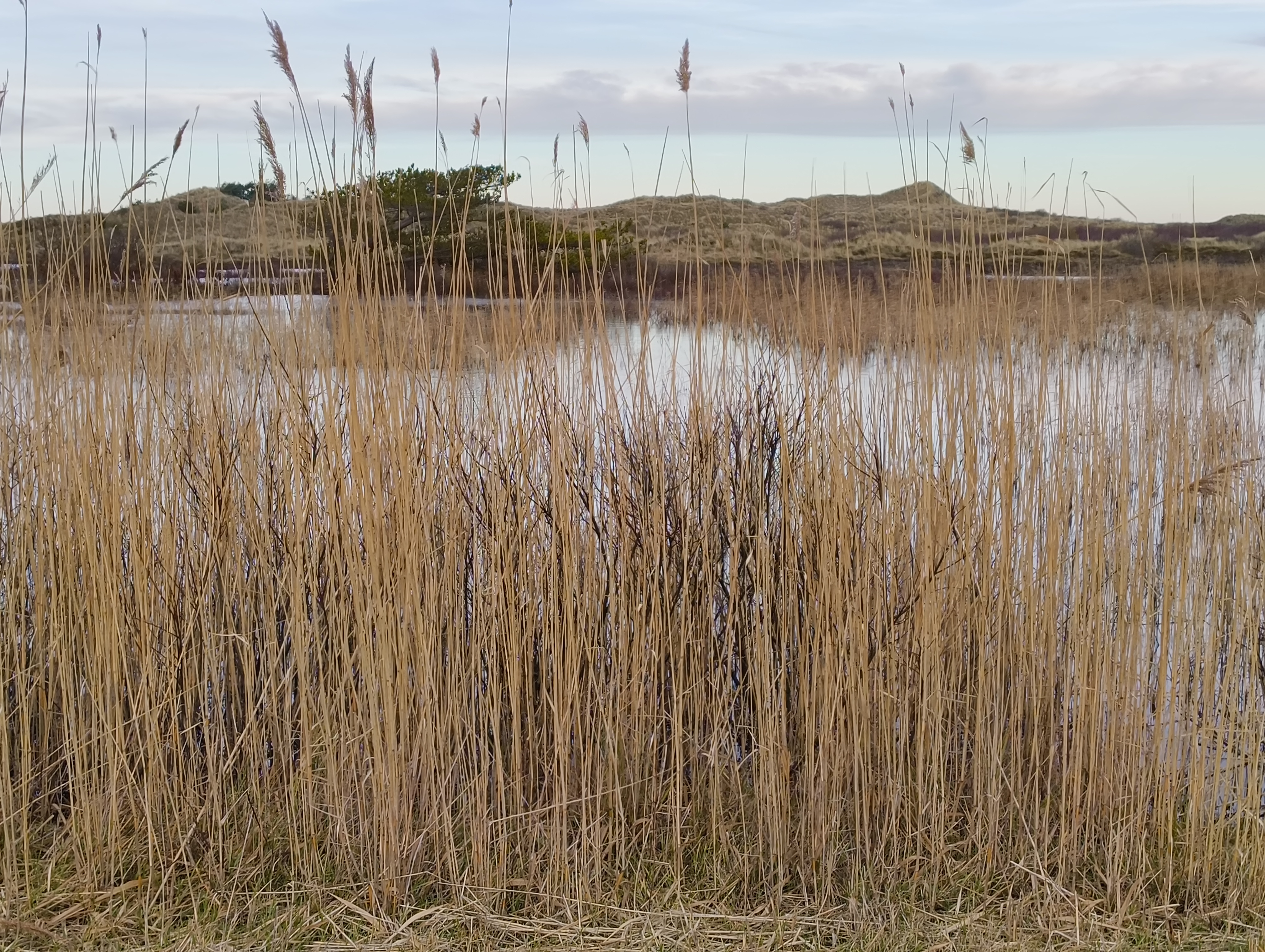 Vlieland