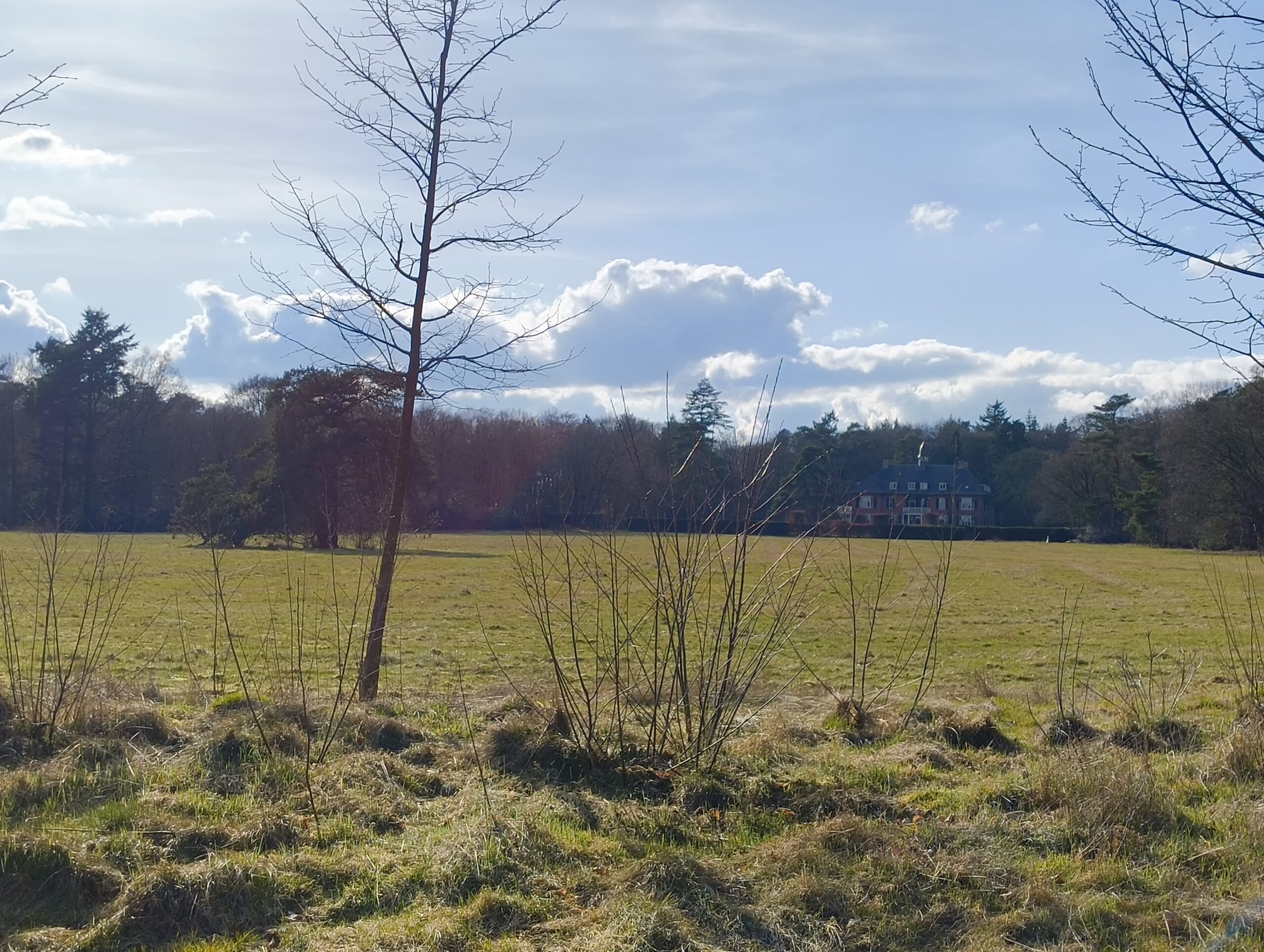 NS-wandeling Utrechtse Heuvelrug