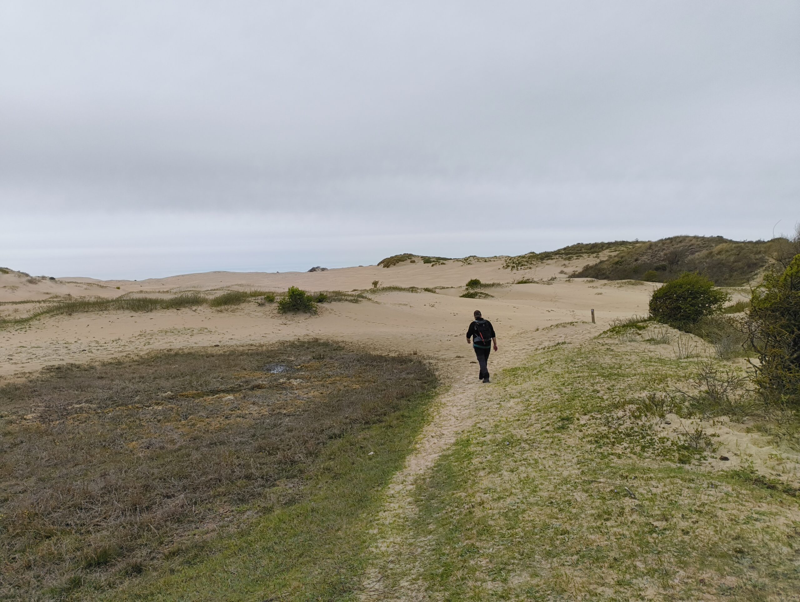 NS-wandeling Kennemerduinen