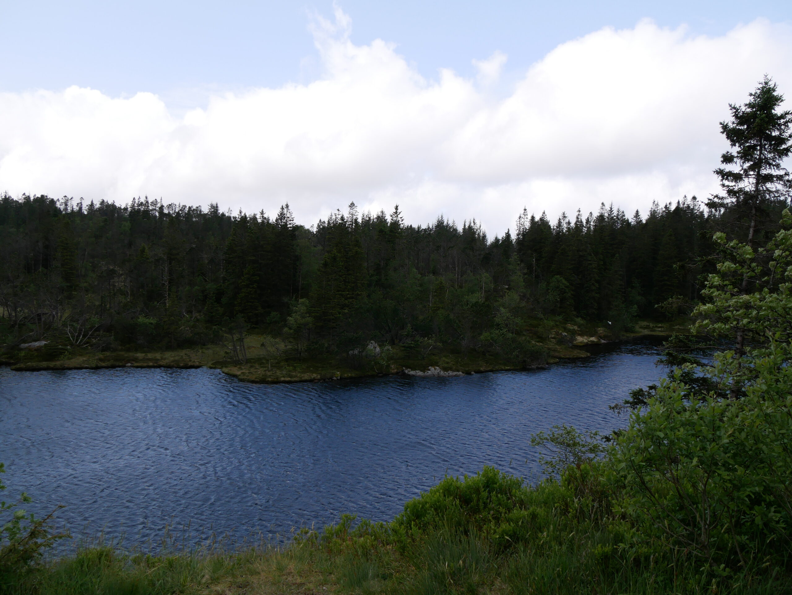 Mount Fløyen 