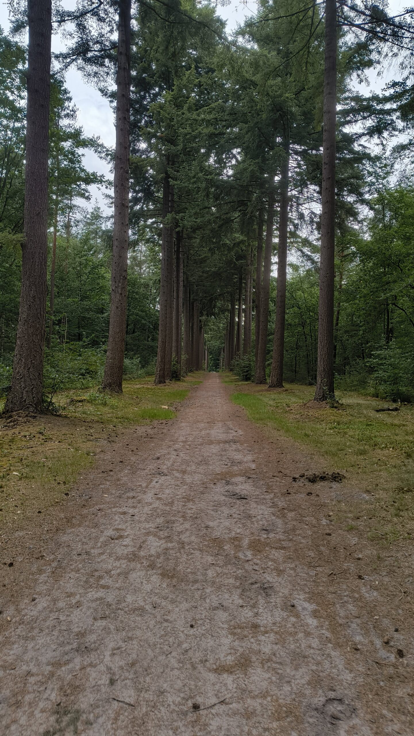 Trage Tocht | ’t Harde-Elburg