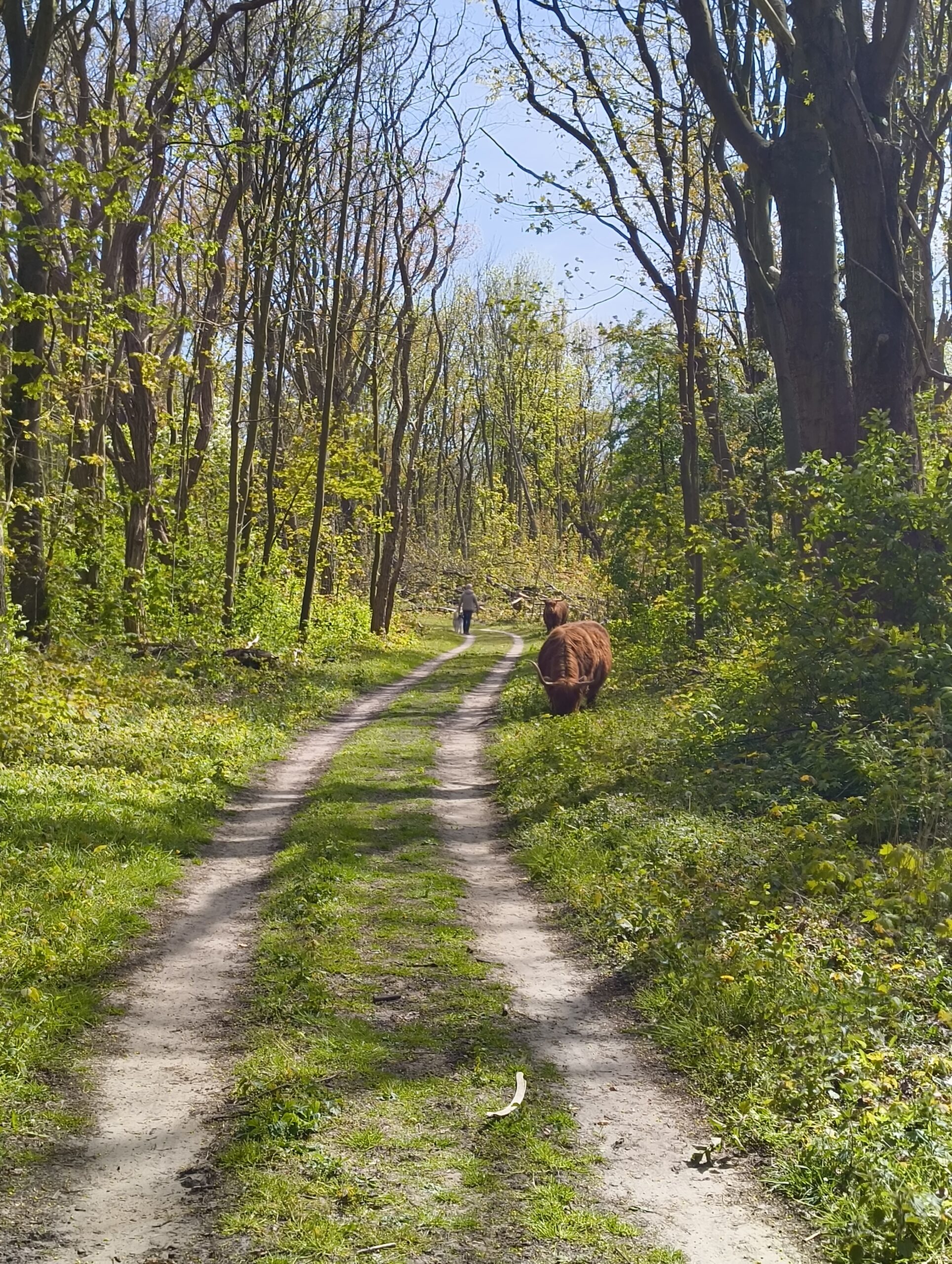 Groene wissel 29: Castricum