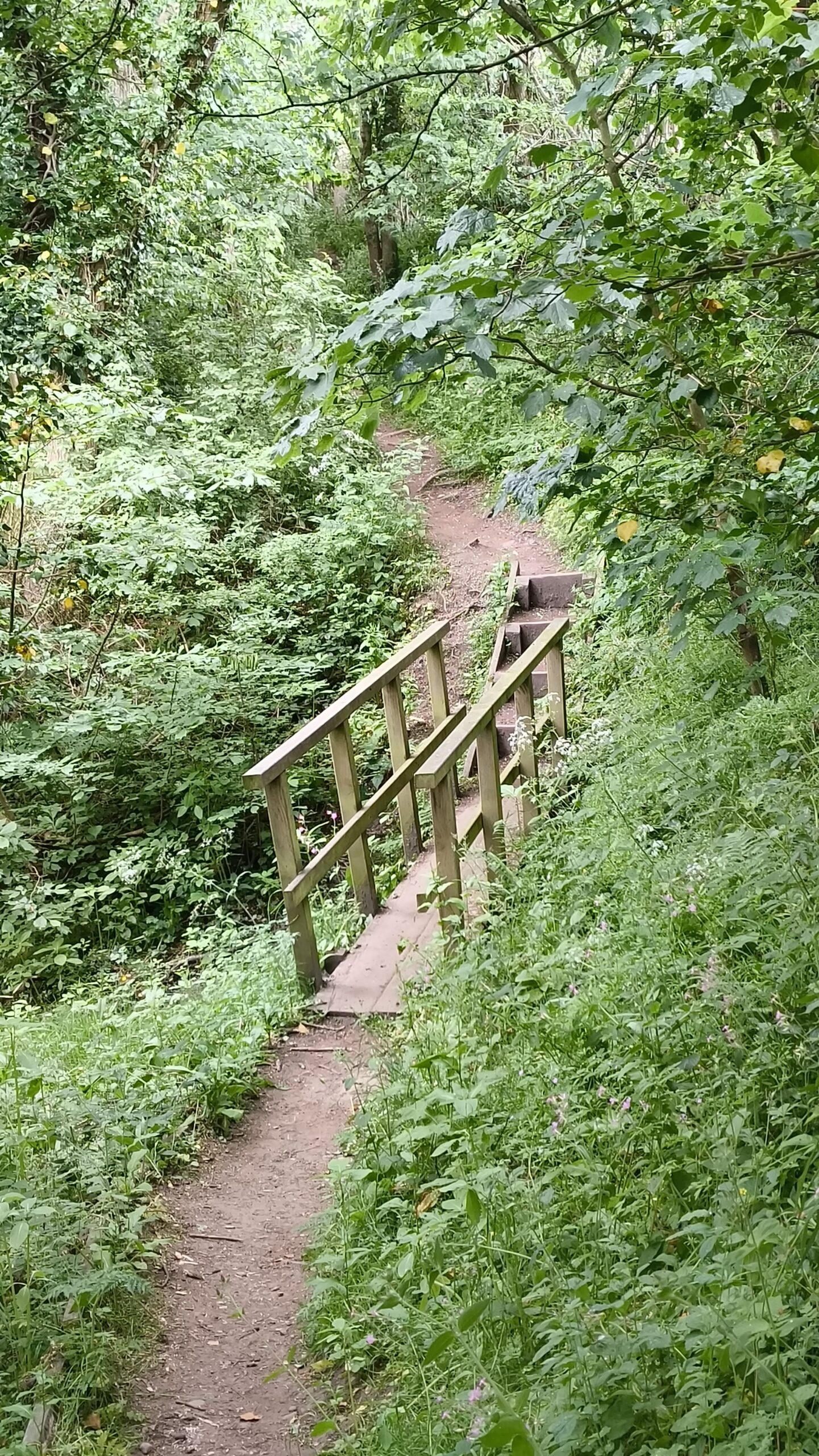Bowness-on-Solway – Carlisle