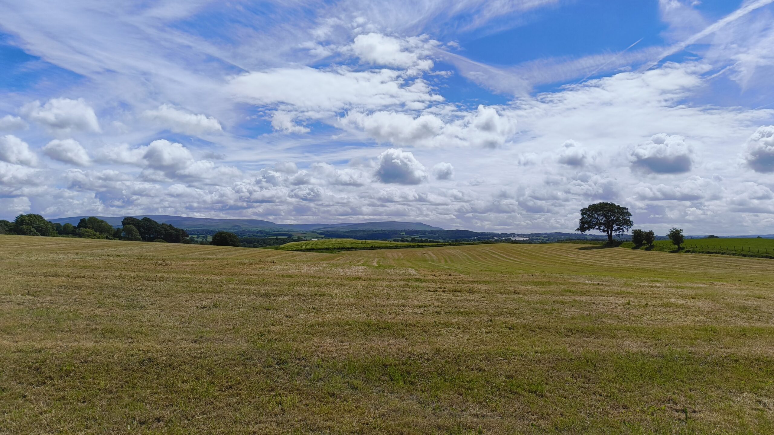 Carlisle – Walton