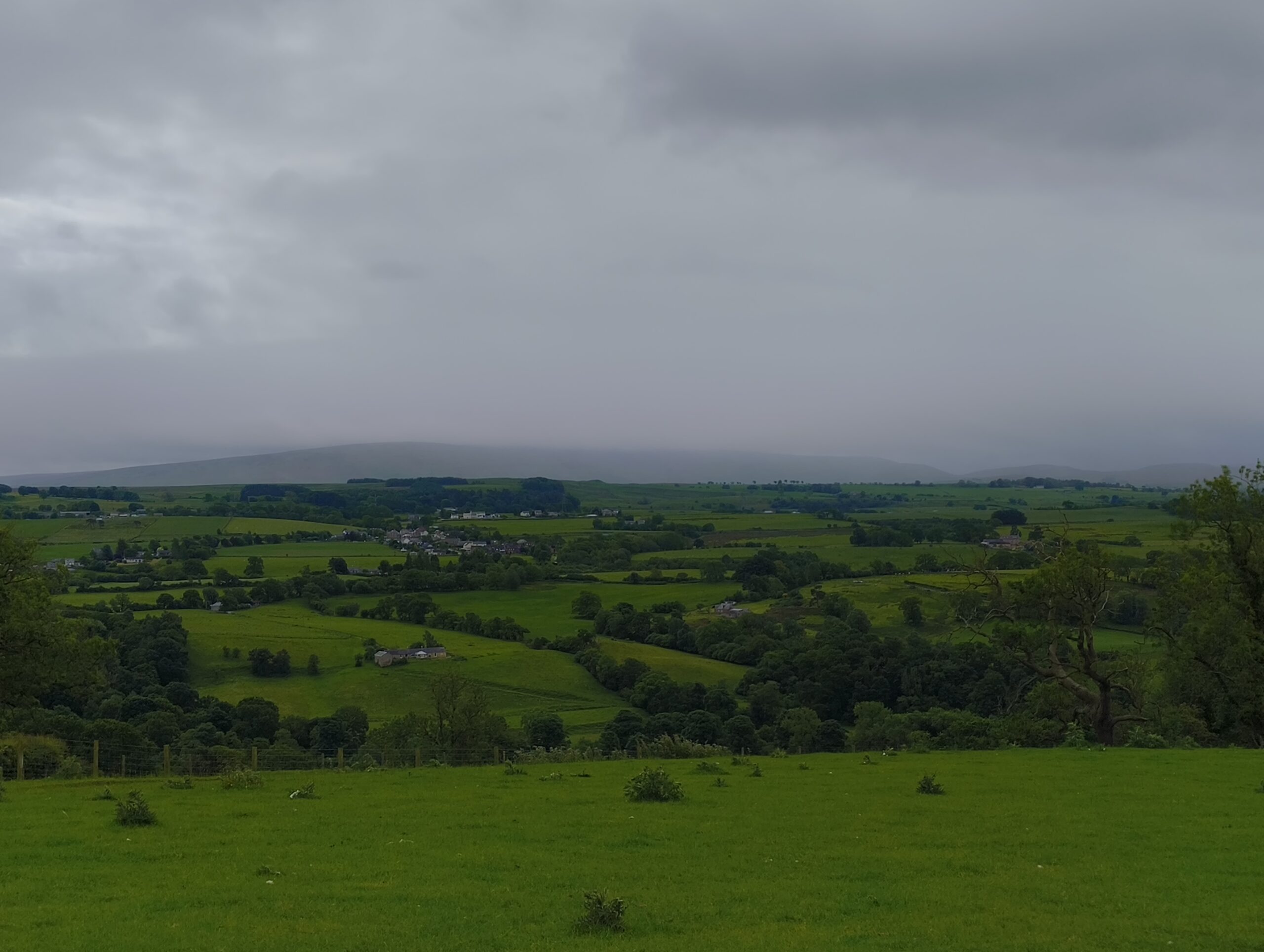 Walton – Greenhead