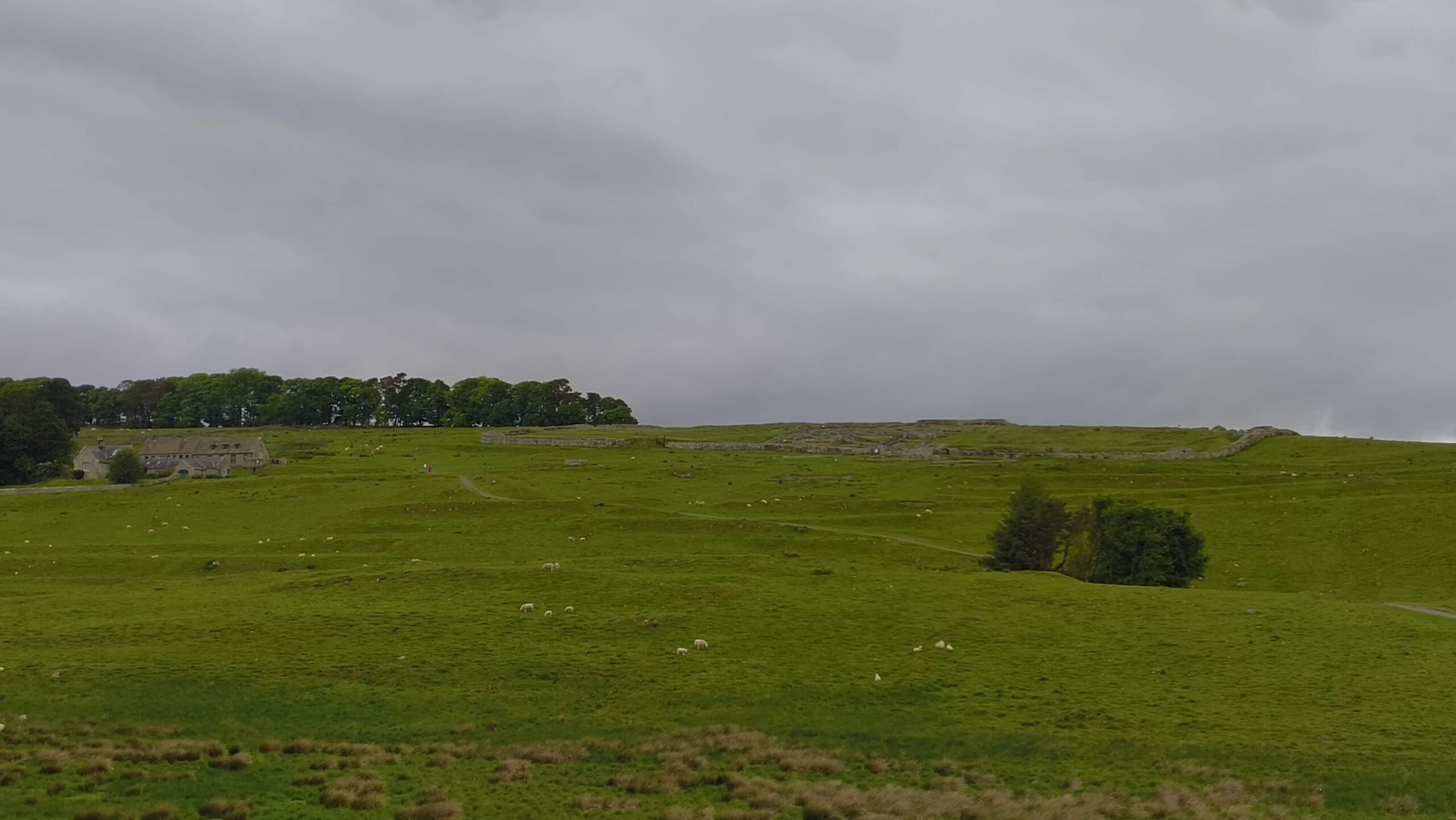 Housesteads – Chollerford